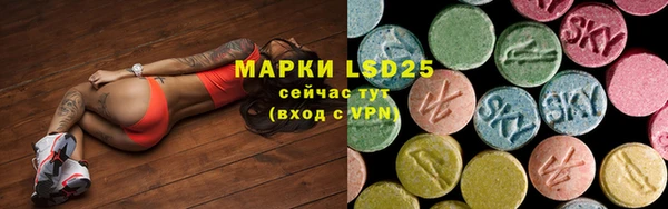тгк Вяземский