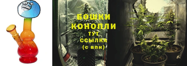 прущие крисы Вязьма