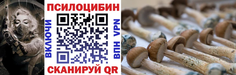цены   Сыктывкар  Псилоцибиновые грибы мицелий 